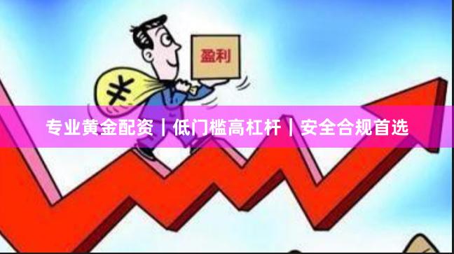 专业黄金配资｜低门槛高杠杆｜安全合规首选